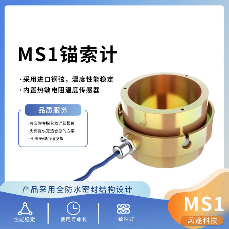 錨索測力計(jì)