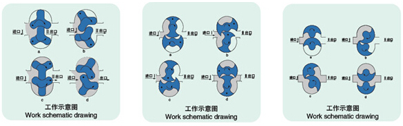 LQ系列衛(wèi)生級(jí)凸輪轉(zhuǎn)子泵結(jié)構(gòu)圖 LQ系列衛(wèi)生級(jí)凸輪轉(zhuǎn)子泵結(jié)構(gòu)圖